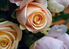 Mother's Day Brunch Buffet is back at the Lakeside Grill